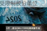 赤子城科技根据雇员受限制股份单位***授出65.***万份受限制股份单位