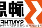 神思电子：公司目前暂未涉及跨境支付业务