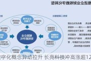 财税数字化概念异动拉升 长亮科技冲高涨超12%