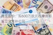 腾龙股份：拟600万欧元在摩洛哥设立全资孙公司