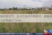 甘肃强对流天气：近10万亩农作物受灾，岷县申都朱家最大小时雨强57.7mm