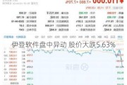 伊登软件盘中异动 股价大跌5.63%