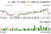 新华保险：前5月累计原保险保费收入为785.7亿元