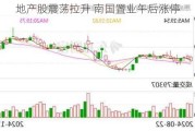 地产股震荡拉升 南国置业午后涨停