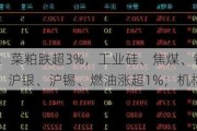 期货午评：菜粕跌超3%，工业硅、焦煤、铁矿跌超2%，沪锌、沪银、沪锡、燃油涨超1%；机构阶段