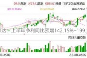 纳思达：上半年净利同比预增142.15%―199.12%