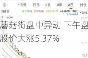 蘑菇街盘中异动 下午盘股价大涨5.37%