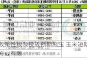 政策性粮源投放预期施压 玉米短期上方或有限