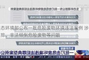 生态环境部公布一批危险废物环境违法案例 涉暗管直排、非法倾倒危险废物等问题