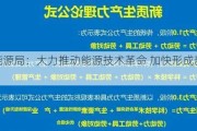 国家能源局：大力推动能源技术革命 加快形成新质生产力