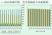 大行负债不稳：资金面波动与未来展望