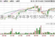 大东南：预计上半年净亏损1500万元-1800万元