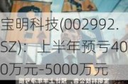 宝明科技(002992.SZ)：上半年预亏4000万元-5000万元