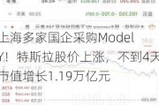 上海多家国企采购Model Y！特斯拉股价上涨，不到4天市值增长1.19万亿元