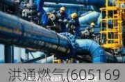 洪通燃气(605169.SH)2023年度拟每10股派2元 6月4日除权除息