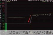 华音国际控股盘中异动 快速跳水6.45%