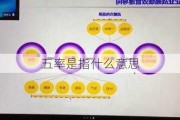 五率是指什么意思