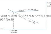 沪铜的杠杆比例如何？这种杠杆水平对投资者的风险管理有何作用？