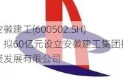 安徽建工(600502.SH)：拟60亿元设立安徽建工集团投资发展有限公司