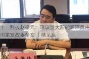 十一科技赵振元：建议重大新能源项目由国家发改委备案 ｜能见派