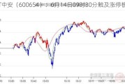 ST中安（600654）：6月14日09时30分触及涨停板