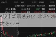 A股市场震荡分化  北证50指数涨7.2%