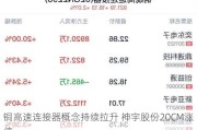 铜高速连接器概念持续拉升 神宇股份20CM涨停