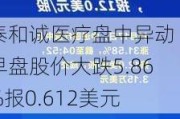 泰和诚医疗盘中异动 早盘股价大跌5.86%报0.612美元