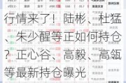 行情来了！陆彬、杜猛、朱少醒等正如何持仓？正心谷、高毅、高瓴等最新持仓曝光