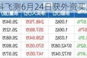 沪深股通|中科飞测6月24日获外资买入0.10%股份