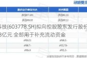 国晟科技(603778.SH)拟向控股股东发行股份募资不超5.63亿元 全部用于补充流动资金