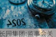 长园集团:监事会关于公司2024年员工持股***相关事项的审核意见