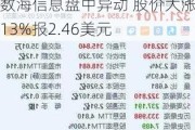 数海信息盘中异动 股价大涨5.13%报2.46美元