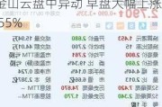 金山云盘中异动 早盘大幅上涨5.55%