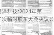 润泽科技:2024年第三次临时股东大会决议公告