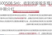 上海能源(600508.SH)：收到控股股东提议公司实施2024年度中期分红