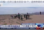 三北工程：已开工重点项目 56 个，造林种草约 4000 万亩