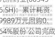 九洲药业(603456.SH)：累计耗资9989万元回购0.64%股份 公司完成回购