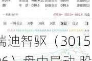 瑞迪智驱（301596）盘中异动 股价振幅达5.8%  上涨7.18%（07-04）