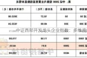 中证西部开发龙头企业指数：多维度解析