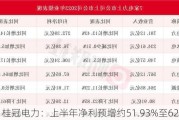 桂冠电力：上半年净利预增约51.93%至62.88%