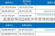 财报速递：龙净环保2024年半年度净利润4.31亿元