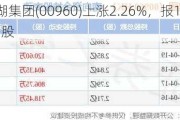 龙湖集团(00960)上涨2.26%，报15.38元/股