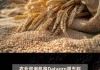 Datagro：下调巴西2023/24年度大豆产量预估至1.4757亿吨