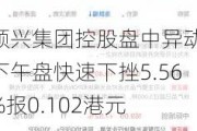 顺兴集团控股盘中异动 下午盘快速下挫5.56%报0.102港元