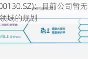 新国都(300130.SZ)：目前公司暂无投资算力相关领域的规划