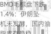 BMD毛棕盘下跌1.4%：伊朗坠机未发酵，国内油脂库存趋稳