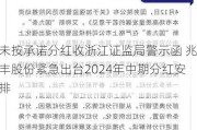 未按承诺分红收浙江证监局警示函 兆丰股份紧急出台2024年中期分红安排