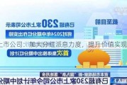 上市公司：加大分红派息力度，提升价值实现能力