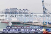 中国信保：2024 年中小微外贸企业出口风险指数报告发布